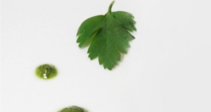 Chef John's Green Sauce