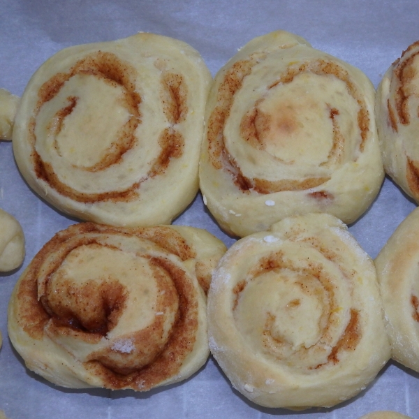 Orange Buns