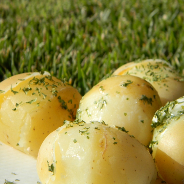 Lengenberg's Boiled Potatoes