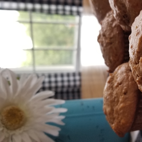 Caramelized Oatmeal Raisin Muffins