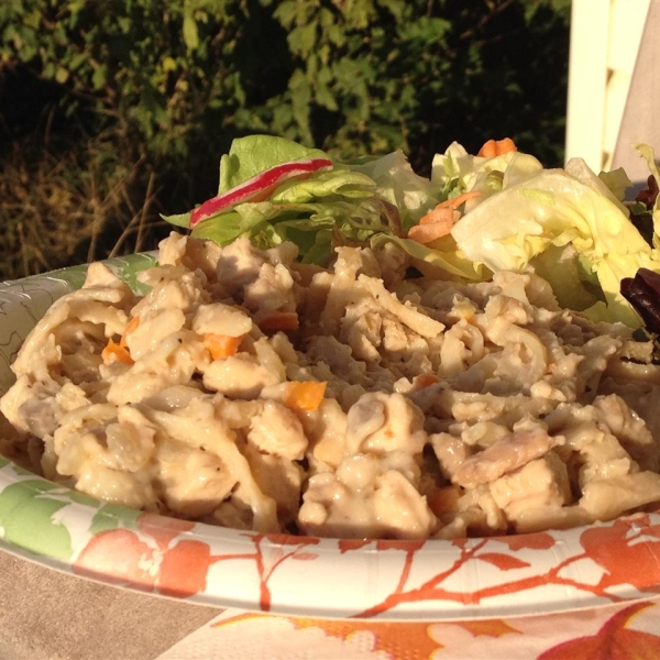 Ashley's Different Chicken Tetrazzini