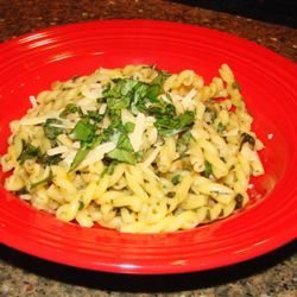Garlic and Parmesan Gemelli Pasta