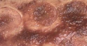 Grandma Sal's Peach Kuchen