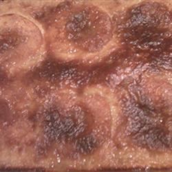 Grandma Sal's Peach Kuchen
