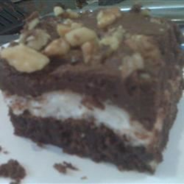 Mississippi Mud Cake IV