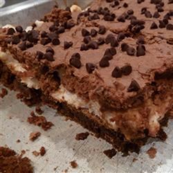 Mississippi Mud Cake IV