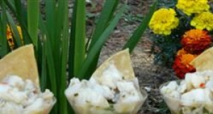 Moroccan Spiced Sea Bass Ceviche