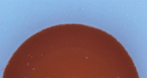 Very Fruity Rum Punch
