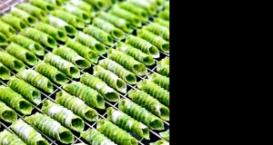 Homemade Spinach Pasta