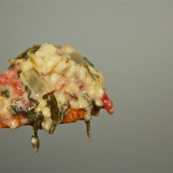Spicy South of the Border Spinach Cheese Dip