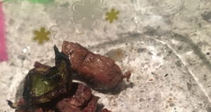Armenian Shish Kabob