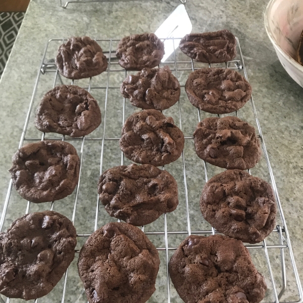 Chocolate Chocolate Chip Cookies II