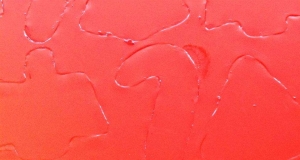 Spooky JELL-O JIGGLERS