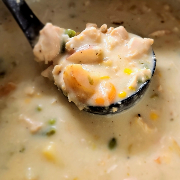 Instant Pot® Creamy Chicken Stew