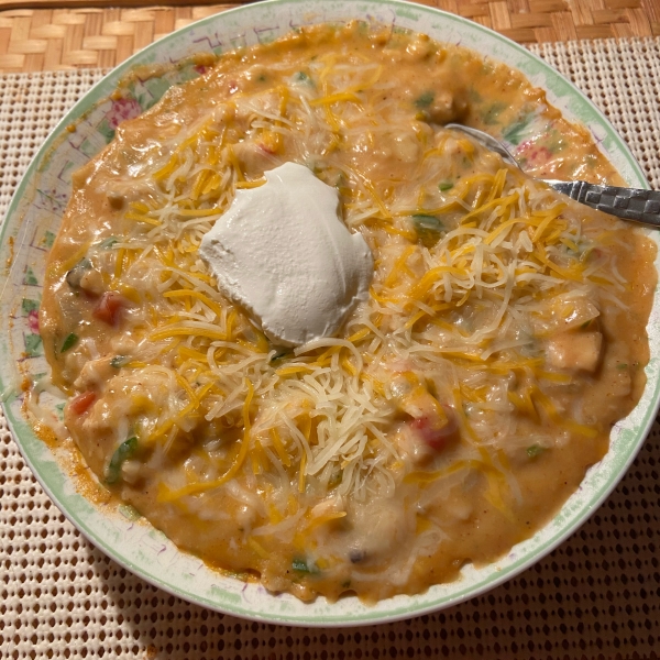 Chicken Enchilada Soup I