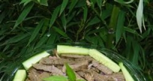 Bob's Thai Beef Salad
