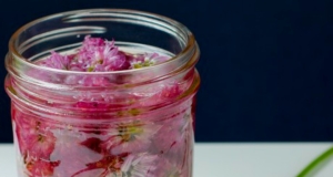 Chive Blossom Infused Vinegar
