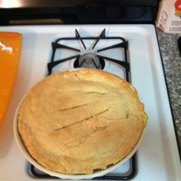 Turkey Pot Pie III