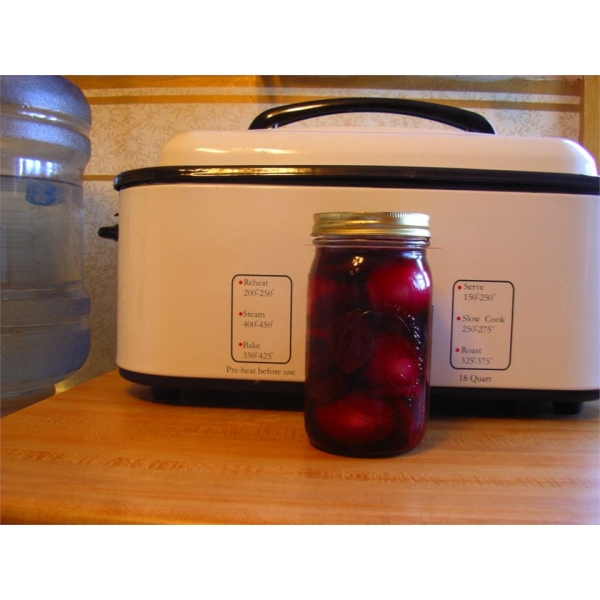Pickled Eggs