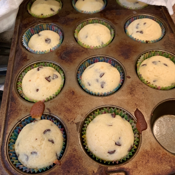 Chocolate Chip Muffins I
