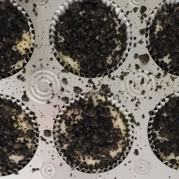 Oreo Mini Cheesecakes