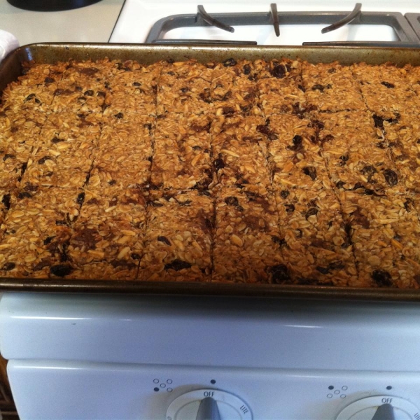 Toasted Coconut Granola Bars