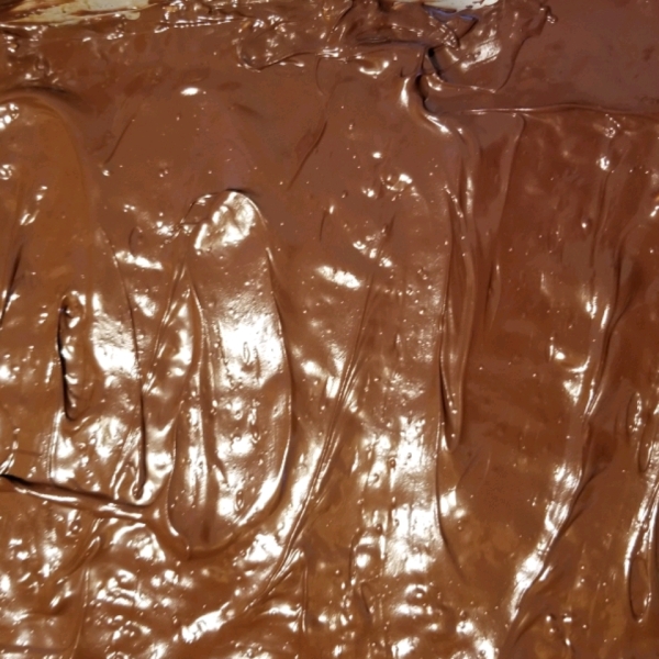 Kellogg's® Chocolate Scotcheroos