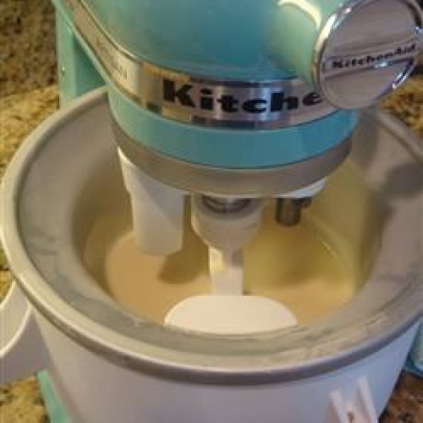 Vanilla Ice Cream IX