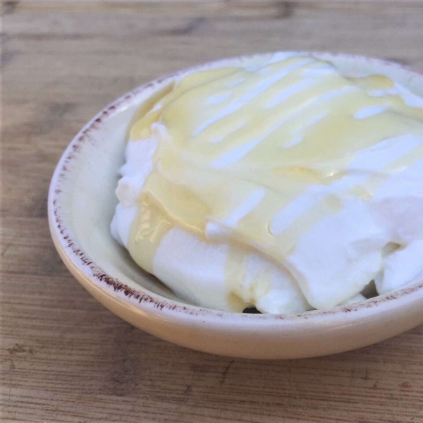 Instant Pot Greek Yogurt