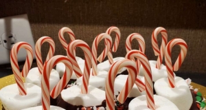 Chocolate Covered Marshmallows