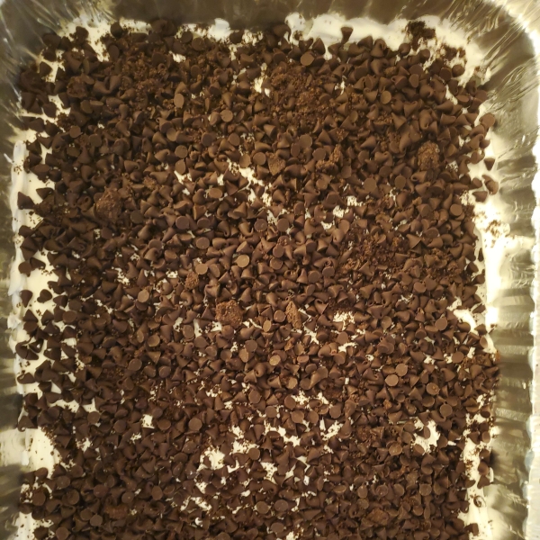Oreo Lasagna