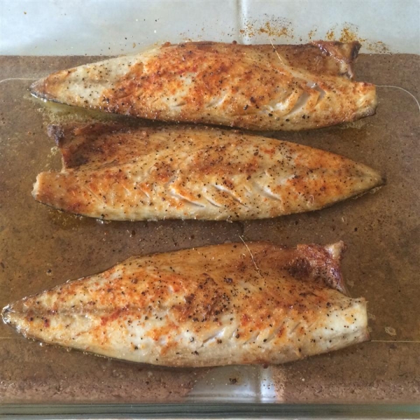 Broiled Spanish Mackerel