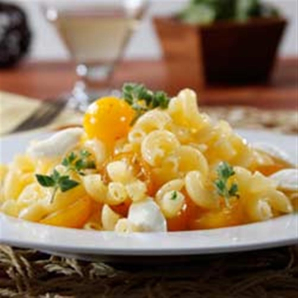 Gluten Free Elbows Tomato & Mozzarella Pasta Salad