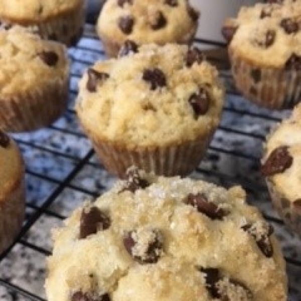 Chocolate Chip Muffins