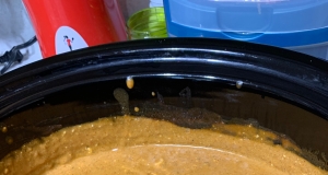 Slow Cooker Chili Queso Dip