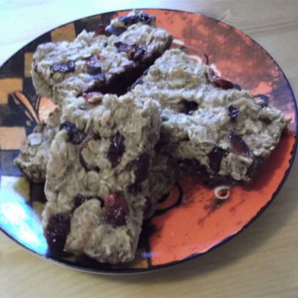 Bird Seed Energy Bars