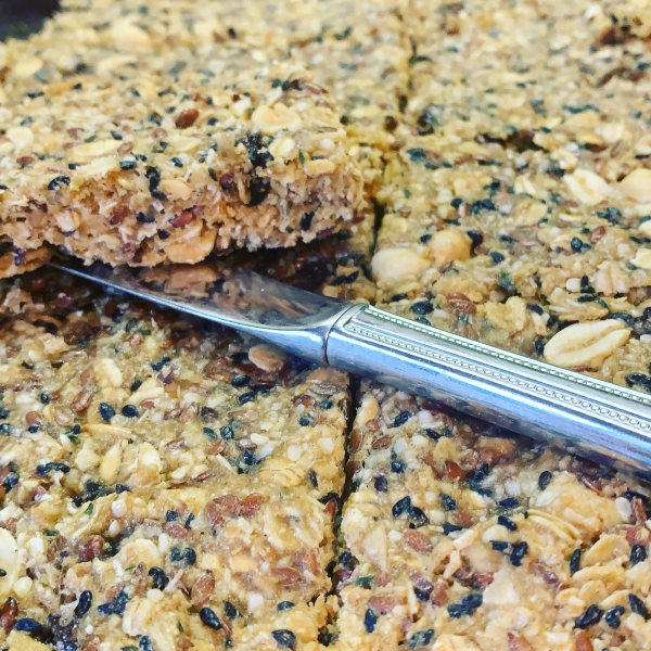 Bird Seed Energy Bars