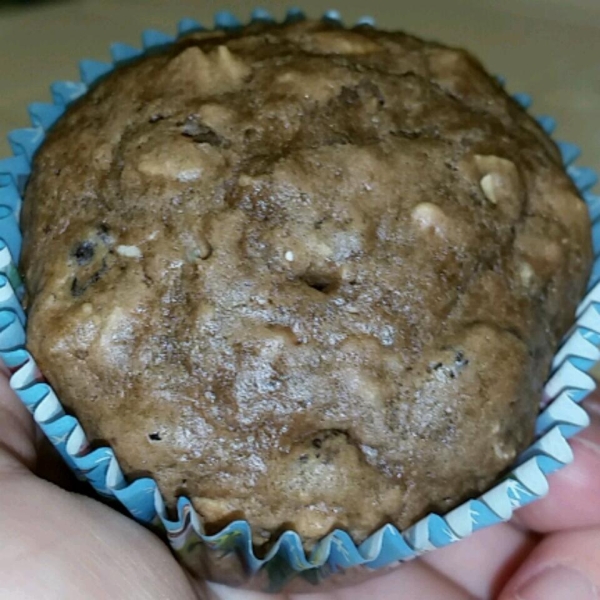 Chocolate Raisin Oatmeal Muffins