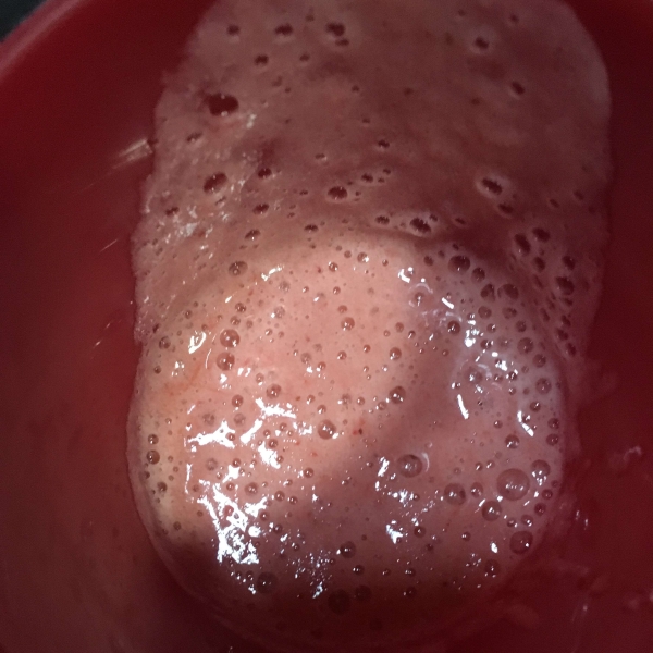 World's Easiest Refreshing Smoothie