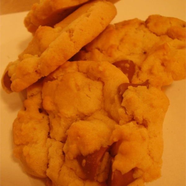 My Favorite Chocolate Chip Cookie