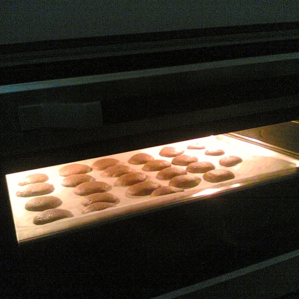 My Favorite Chocolate Chip Cookie