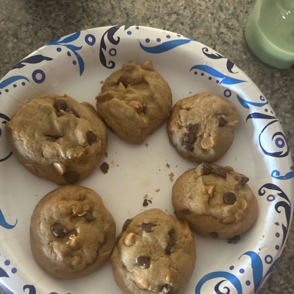 Best Big, Fat, Chewy Chocolate Chip Cookie
