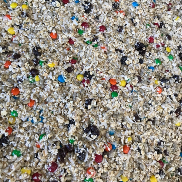 Chewy No-Bake Granola Bars