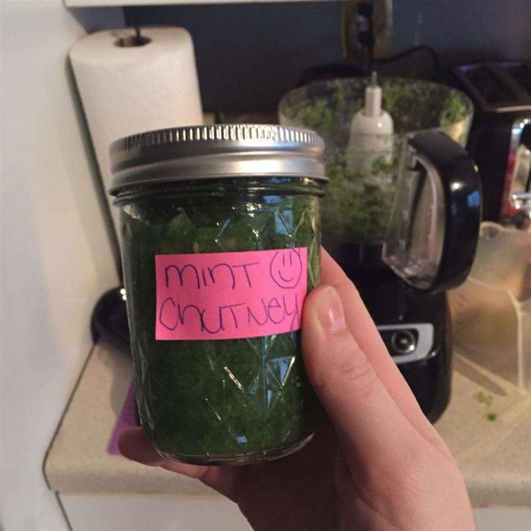 Mint Chutney