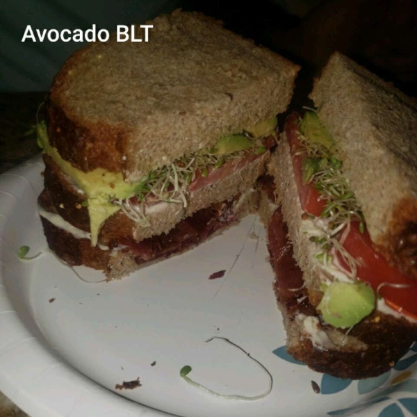 Midnight Snack Avocado Sandwich
