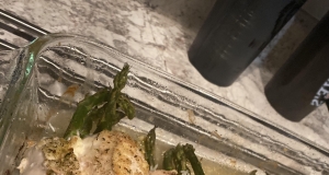 Asparagus and Mozzarella Stuffed Chicken Breasts