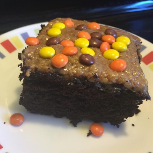 Chocolate Peanut Butter Wacky Cake