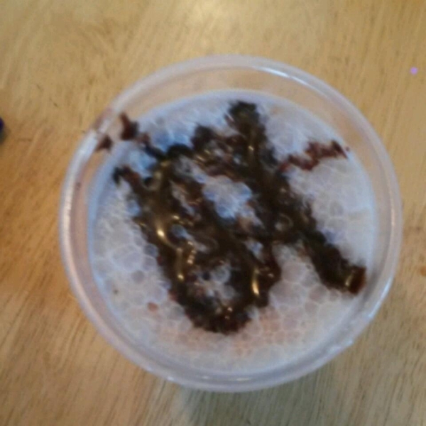 Freeze-Easy Chocolate Shake