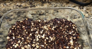 Cocoa-Coconut Granola Bars