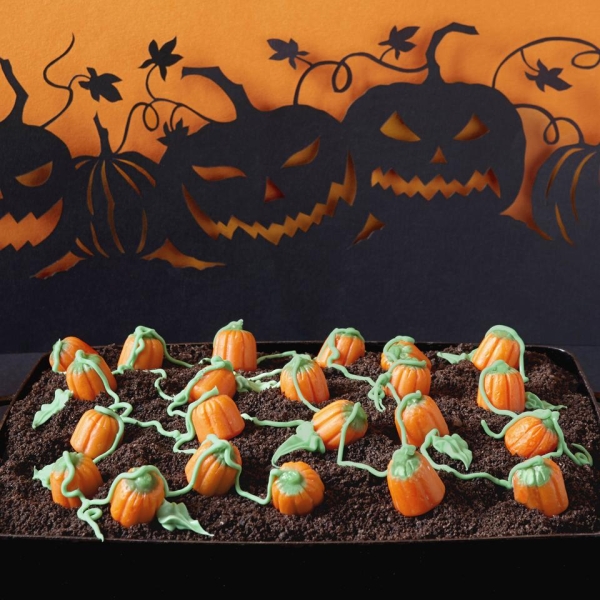 Pumpkin Patch 